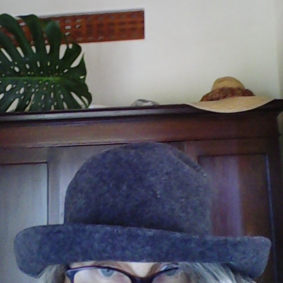 Cute Gray Felted Wool Hat - Picture 4 of 5